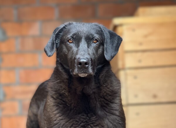 Паулина Б 159