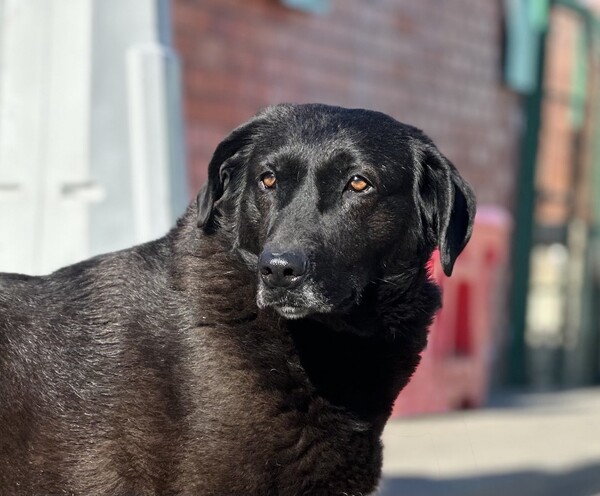 Паулина Б 159