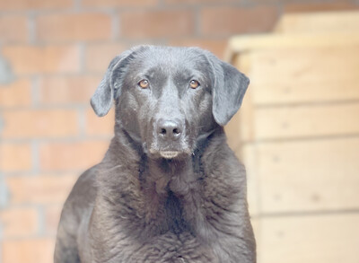 Паулина Б 159