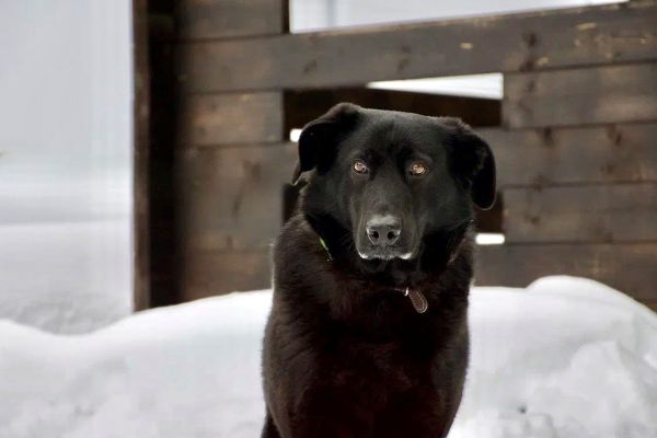 Танзания Б 173
