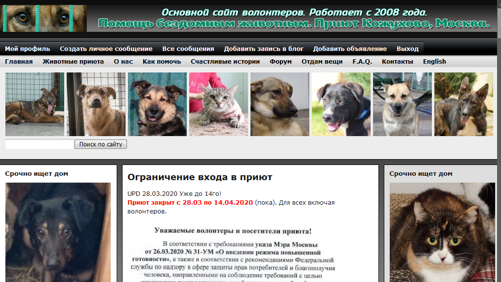 Сайт волонтеров Кожуховского с 2008 года