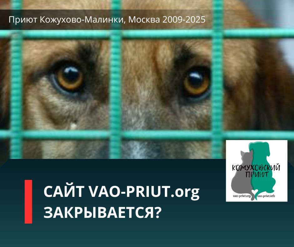 САЙТ VAO-PRIUT.org ЗАКРЫВАЕТСЯ?! Друзья, давайте обсудим. Присоединяйтесь, важно Ваше мнение.