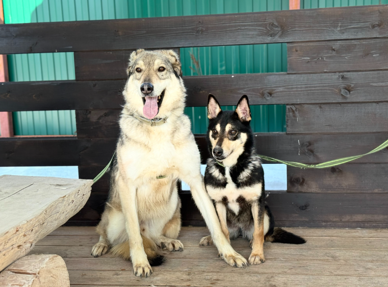 Там - страшно всем, но любовь сильнее страха. Фишер и Личи