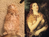 Кошки и искусство