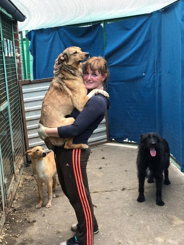 Волонтёр Юлия: "Почему я люблю собак!"