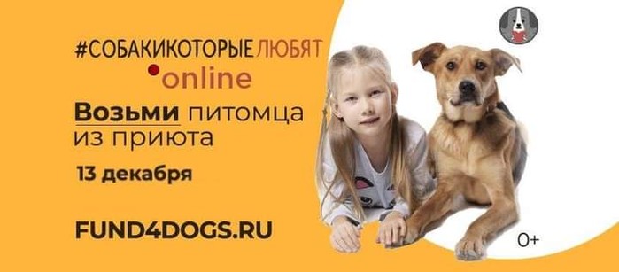 Он-лайн выставка Фонда Собаки, которые любят 13.12.20!
