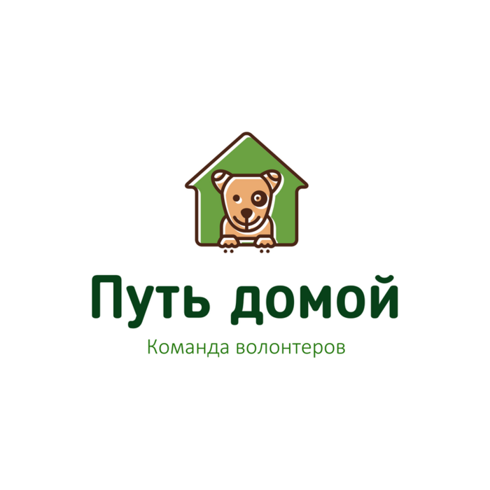 Путь домой.