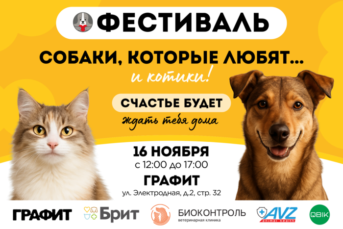 Фестиваль «Собаки, которые любят... и котики!» 16 ноября 2025